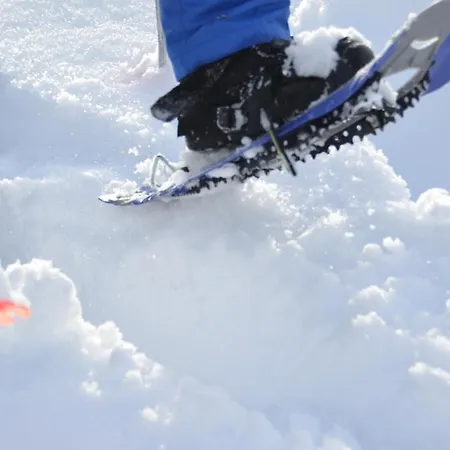 Πανδοχείο Wacht *