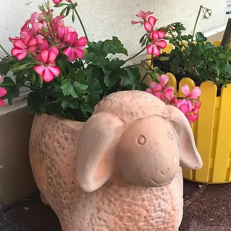 Mini-hôtel Wacht *